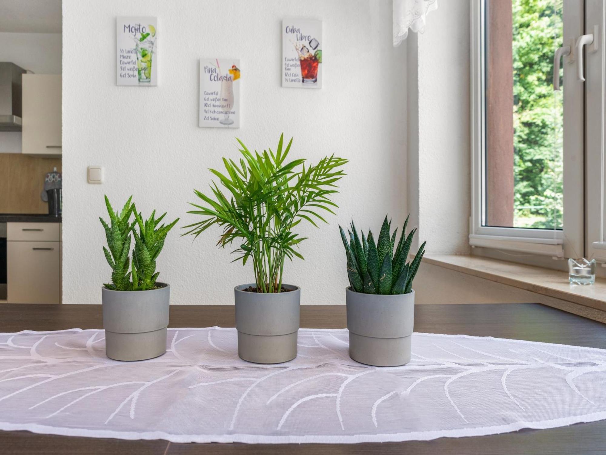 Modern Apartment In Sebnitz With A Terrace In Sebnitz Exteriér fotografie